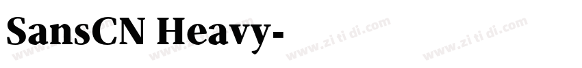 SansCN Heavy字体转换